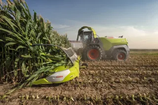 Sklízecí řezačka CLAAS JAGUAR 1000 s adaptérem ORBIS 12000 při sklizni kukuřice