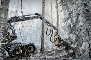 Harvestor vybavený asistentem kácení OptiFellingAssist.