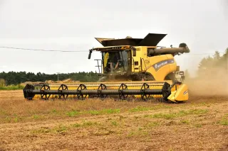 Sklízecí mlátička New Holland CR9.90 při sklizni hrachu