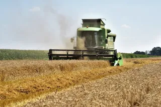 Sklízecí mlátička Deutz-Fahr 5690 HTS při sklizni ječmene