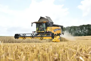 Žlutá sklízecí mlátička New Holland při sklizni obilí u Mladé Boleslavi.