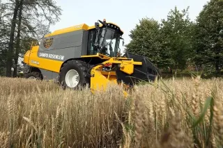 Žlutá sklízecí mlátička Sampo Rosenlew Comia v obilném poli