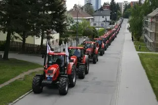 Kolona červených traktorů Zetor na silnici