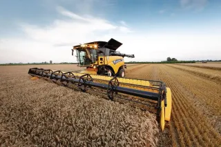 Žlutá sklízecí mlátička New Holland při sklizni pšenice