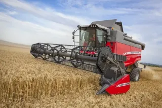 Červená sklízecí mlátička Massey Ferguson v obilí