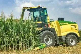Zelenožlutá samojízdná řezačka Krone při sklizni kukuřice