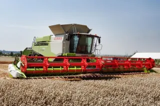 Sklízecí mlátička Claas Lexion v obilném poli