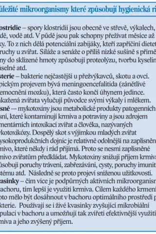Mikroorganismy a hygienická rizika