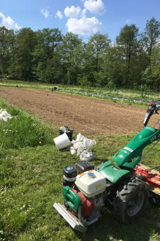 Na biofarmě u Měsky se malotraktor bez problémů vejde do fóliovníků, v nichž zastane úpravu záhonů, využíván je však i ve venkovních prostorách k dalšímu udržování květinových záhonů, zdroj foto - Pavel Měska