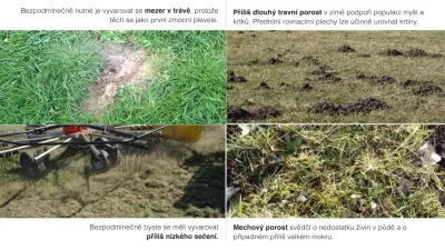 Poškození porostu (zdroj - www.einboeck.at)