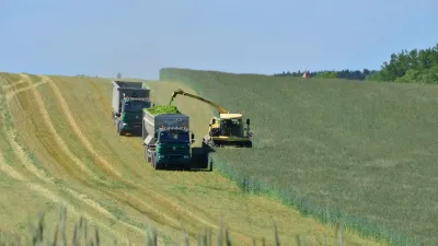 Sklizeň porostu žita řezačkou a nákladními vozy