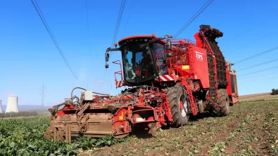 Sklízeč cukrové řepy Holmer Terra Dos na poli