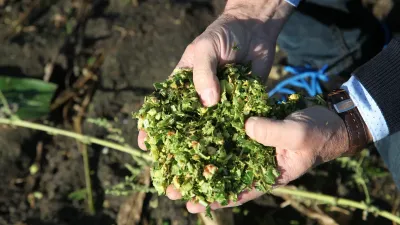 Krone vyvíjí nesenou traktorovou řezačku, foto - www.profi.co.uk