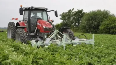 Traktor s připojeným strojem na sběr mandelinek v bramborovém porostu.