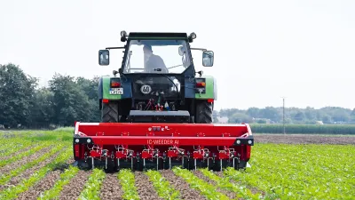 Traktor s meziřádkovým kypřičem Lemken v porostu.
