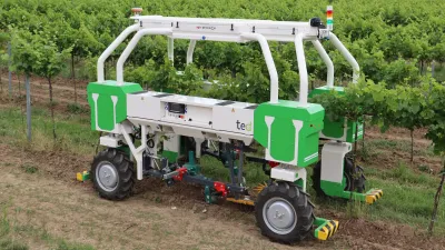 Zelenobílý autonomní robot NAIO TED ve vinici