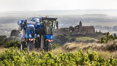 Modrý sklízeč hroznů New Holland Braud ve vinici.