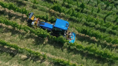 Modrý traktor při práci ve vinici