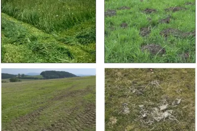 Znečištění porostu před nebo po sklizni