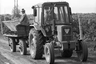 Historický černobílý snímek traktoru Belarus s návěsem