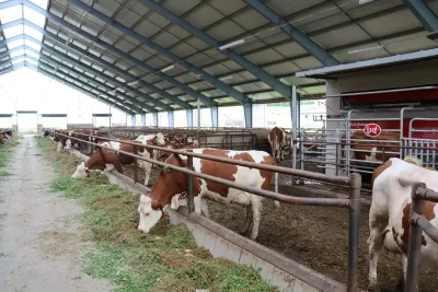 Technologická modernizace v podobě dojicích robotů Lely Austronaut v ZD Nečín posunula chov dojnic na farmě o pomyslných 50 let