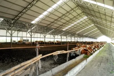Kellnerova stopa v zemědělství: Jak to vypadá v ruském zemědělském podniku RAV Agro. Zdroj foto - tisková zpráva RAV Agro