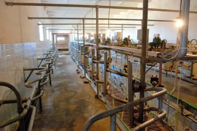 Kellnerova stopa v zemědělství: Jak to vypadá v ruském zemědělském podniku RAV Agro. Zdroj foto - tisková zpráva RAV Agro