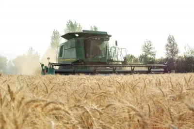 Kellnerova stopa v zemědělství: Jak to vypadá v ruském zemědělském podniku RAV Agro. Zdroj foto - tisková zpráva RAV Agro