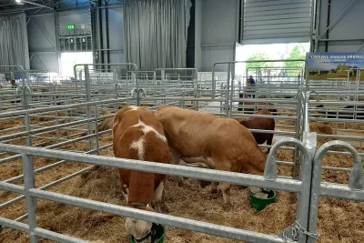 Podívejte se, jak se plní technikou Brněnské výstaviště. Veletrh pro chovatele začíná tento víkend!