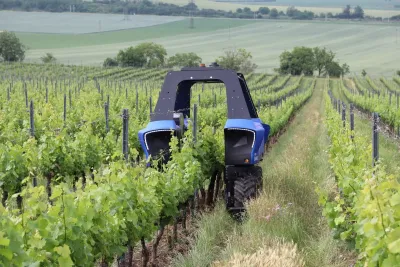 Autonomní robot VitiBot Bakus ve vinici