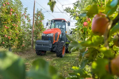 Oranžový úzkorozchodný traktor Kubota v jabloňovém sadu.