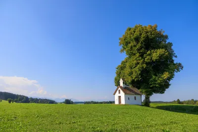 Malá bílá kaple pod stromem na louce