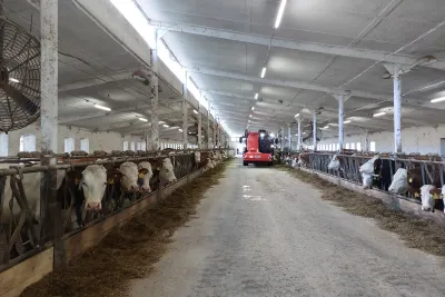 V ZD Krásná Hora se předvedl samojízdný krmný vůz KUHN SPW INTENSE 22.2 CL.