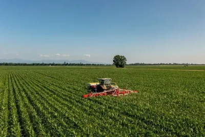 Traktor s meziřádkovým kultivátorem Pöttinger FLEXCARE V provádí mechanickou regulaci plevelů a přihnojování kukuřice přímo v porostu.