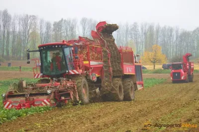 Sklízeč cukrové řepy Holmer Terra Dos při práci
