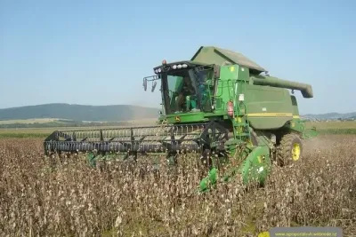 Sklizeň máku mlátičkou John Deere.