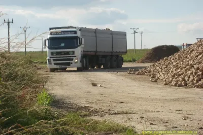 Holmer Terra Dos