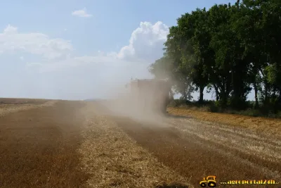 Sklizeň ječmene 2014
