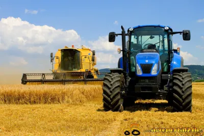 New Holland T5.95 Electro Command při sklizni obilí.