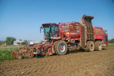 Vyorávač Holmer Terra Dos T4 na poli s cukrovou řepou.