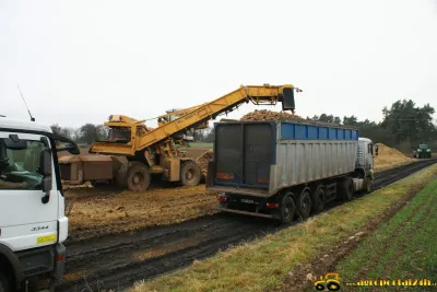 Nakládání a odvoz cukrové řepy Leden 2014