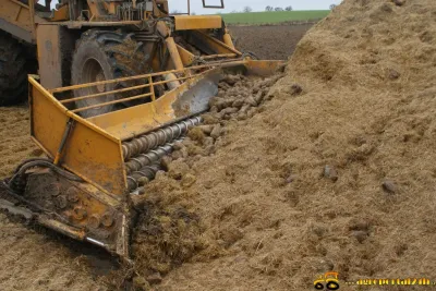 Nakládání a odvoz cukrové řepy Leden 2014