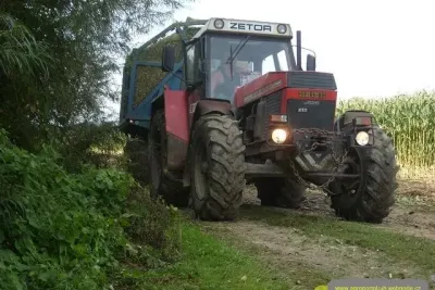 Siláž kukuřice