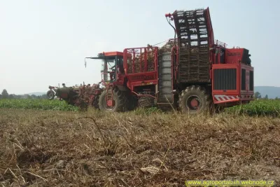 Holmer Terra Dos