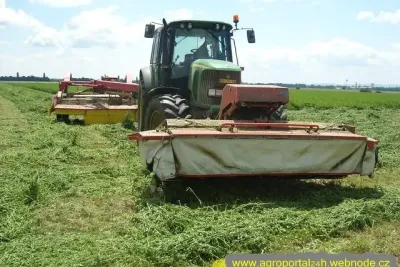 Seč vojtěšky