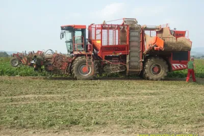 Holmer Terra Dos