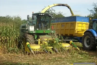 Sklizeň kukuřičné siláže řezačkou John Deere.