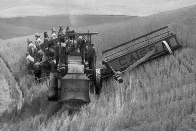 Historická sklízecí mlátička Case, která je tažena koňmi.