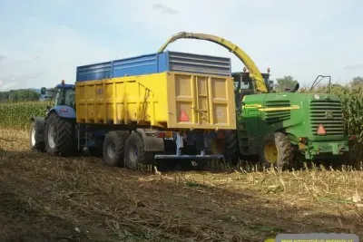 Siláž kukuřice